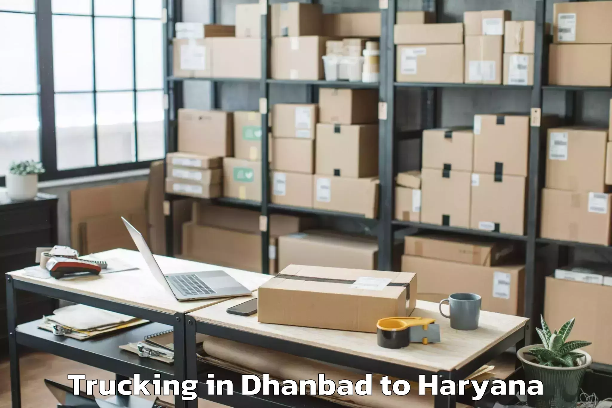 Book Dhanbad to Manav Rachna International Ins Trucking Online